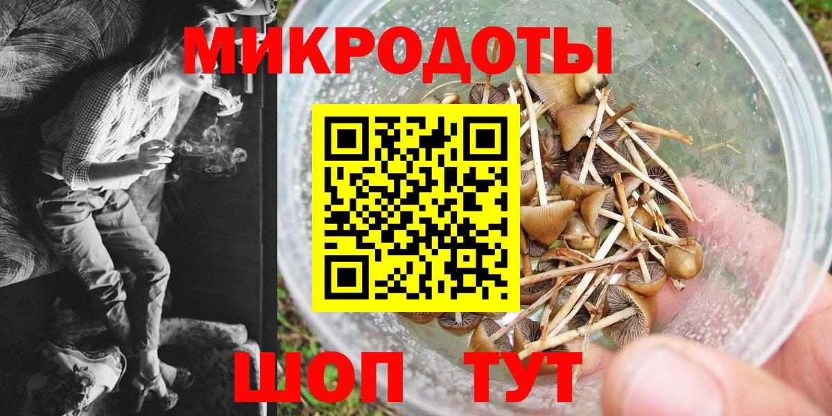 Псилоцибиновые грибы мухоморы  Вход с VPN  Зеленогорск 