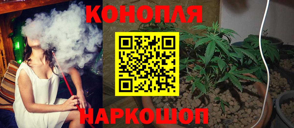Каннабис сатива Зеленогорск